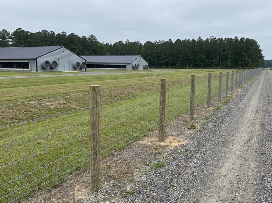 Woven wire perimeter fence along a gravel access road beside tunnel-ventilated livestock barns