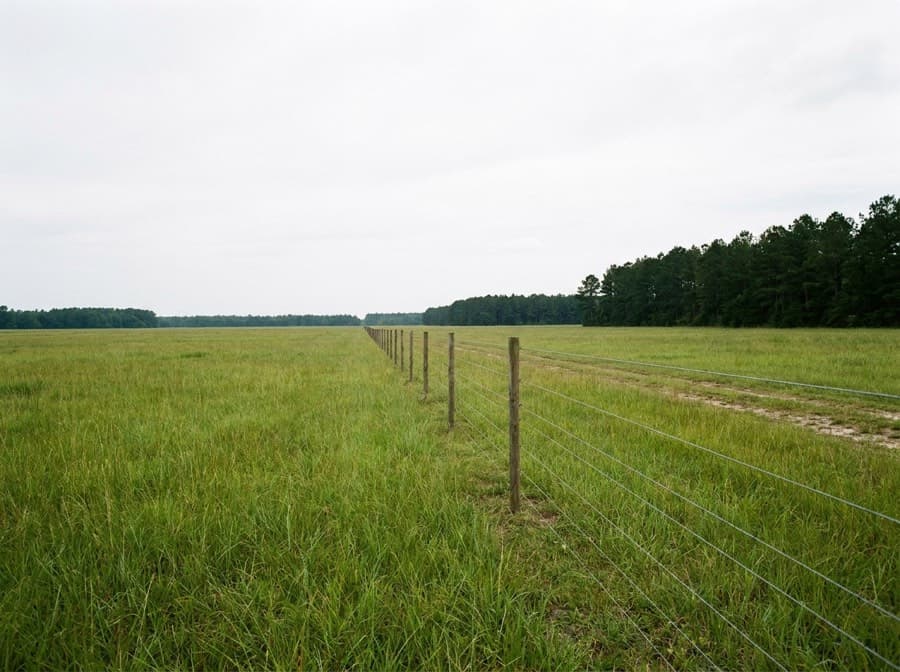 Long high-tensile wire fence running across an open pasture toward a pine treeline